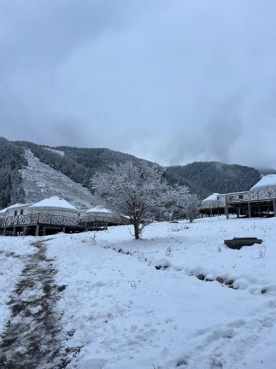 Ethno Complex Ala Kuch Hotel Kaindy Bagian luar foto